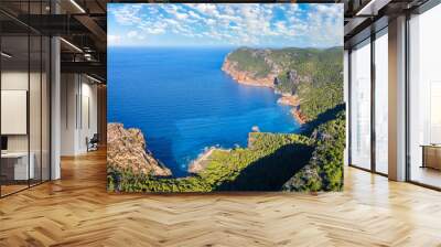 Landscape with Cala d'albarca shore, Ibiza islands, Spain Wall mural