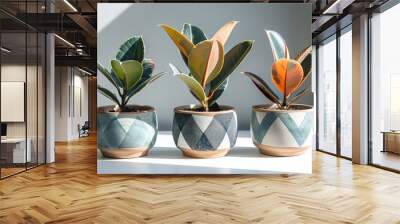 Three houseplant ficus trees in clay pots with geometric pattern on windowsill bright sun rays shine from window, an interesting hobby cultivation of inside flowers Wall mural