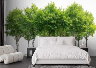 green tree leaves and realistic shadows and highlights on white background Wall mural