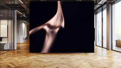 Beauty, neck and person on black background for creative lighting, shadow and silhouette. Aesthetic, fantasy and closeup of body in dark studio with macro of skin for art deco, wellness and glow Wall mural