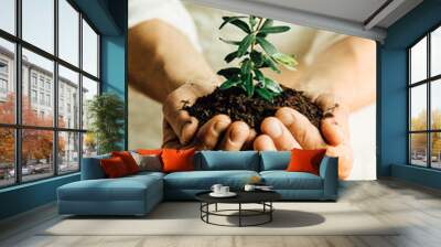 Senior woman hands holding plant in soil. Old dirty hands, concept save the planet earth, recycle. Concept of farming and environment protecting.Care of the Environment. Ecology concept Wall mural