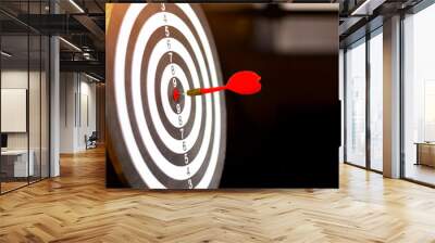 dart board has dart arrow throw hitting the center of a shooting target for business targeting and winning goals business concepts. Wall mural