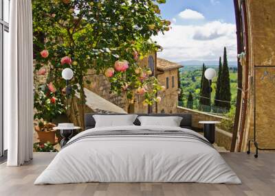 Roses at balcony in San Gimignano, Tuscany landscape background Wall mural