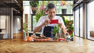 A senior Asian man gardener using smartphone take photo of tree and botany in an indoor garden with happiness Wall mural