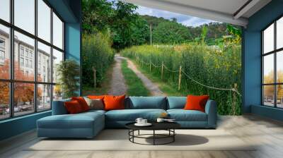 A background view of the natural ambience within the local community garden, the well being, the fresh air and the wind blowing. Wall mural