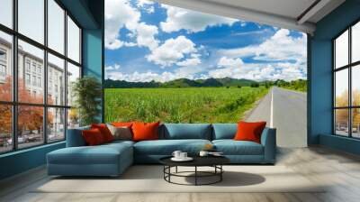 A long local road in a rural area with white cloud and blue sky. The road is surrouded by green fields Wall mural