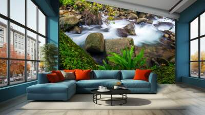 green plants on stone with waterfall flowing Wall mural