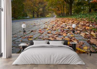 walkway with maple leaf fall in autumn season in nikko japan Wall mural