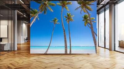 Tall palm trees and azure water on the amazing beach Wall mural