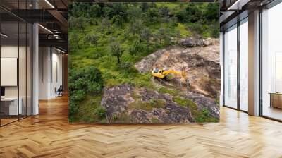 Deforestation aerial photo. Rainforest jungle in Borneo Wall mural