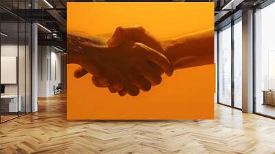 Handshake web banner. Handshake isolated on orange background with space for text. Wall mural