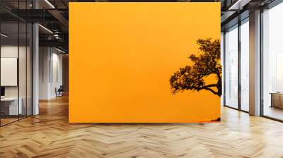 Tree of Life web banner. Sacred geometry art with Tree of Life symbol on orange background. Wall mural