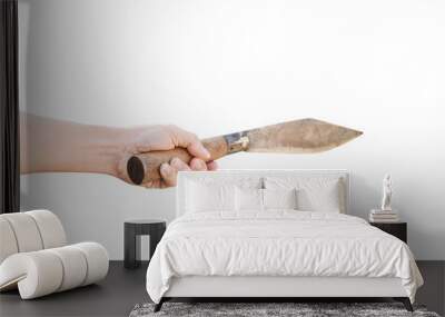 big knife in hand isolated on white background with clipping path. Wall mural