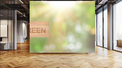 Environment concept. wooden sign with word Go Green over green background Wall mural