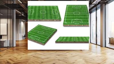 Green grass soccer field collection isolated on white background. 3D Rendering. Wall mural