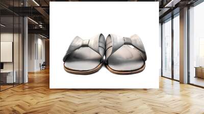 Grey women's sandals isolated on a white background. Wall mural