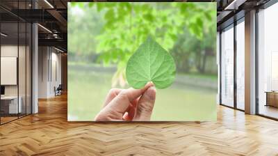 Hand holding a green leaf over green nature background. Wall mural