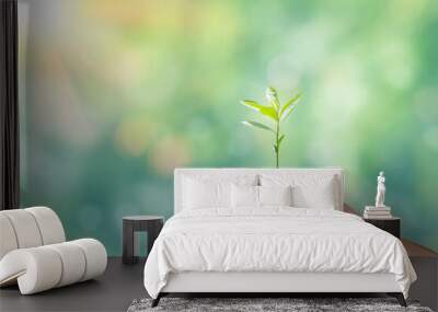 Hand holding seedling over blurred green nature background. Concept of plant growth and eco friendly Wall mural