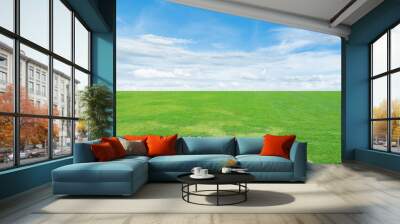 Landscape view of Green grass field under the blue sky background Wall mural