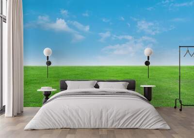 Landscape view of green grass with bright blue sky and clouds background. Wall mural