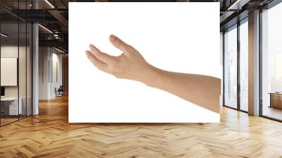 Man hand gesture isolated on transparent background - PNG format. Wall mural