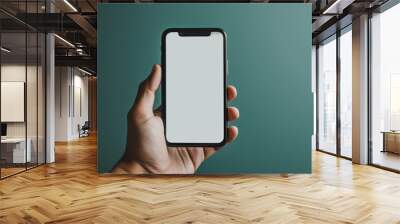 person holding smartphone, hand with phone, empty screen, business concept Wall mural