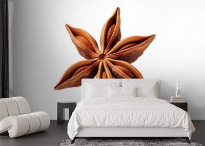 Close-up of a star anise spice isolated on white background, showcasing its detailed, unique shape and vibrant brown color. Wall mural