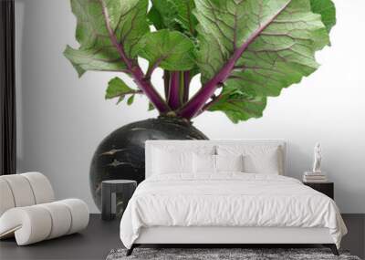 Fresh black radish with vibrant green leaves, perfect for healthy recipes and organic food concepts. Wall mural