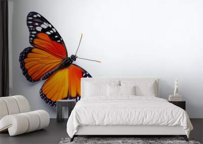 butterfly isolated on white background Wall mural