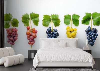 Five bunches of grapes of different colors - red, pink, blue, green and purple - arranged in a row on a white background. Wall mural