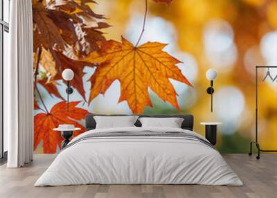 Orange fall leaves in park, autumn natural background Wall mural