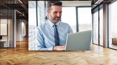 Handsome businessman in modern office looking on laptop computer Wall mural