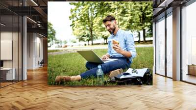 Young businessman having sandwich for lunch in the park and working on laptop Wall mural