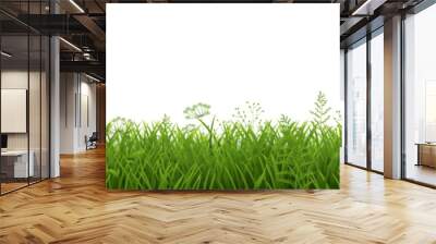 green grass isolated on white Wall mural