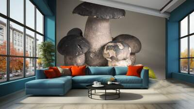 group of freshly harvested family cep porcini boletus with basil and garlic copy space background cooking concept recipe artistic touch Wall mural