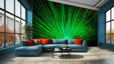 Green laser show in the forest. Luxury entertainment with audience silhouettes. Beams and rays shining colorful lights Wall mural