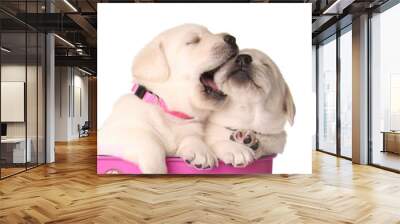 valentine puppies Wall mural