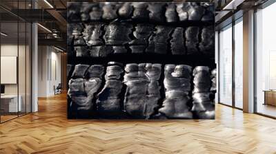 Texture of burnt wood Wall mural