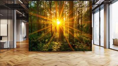 A beautiful forest, a bright sun shines between the trees. Wall mural