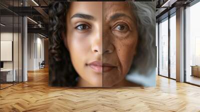 A woman face divided into two halves - young and old.  Wall mural