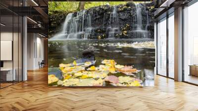 Long exposure waterfall on small river Ivande in Renda, Latvia Wall mural