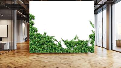 Ivy illustration for footer and corner designs ( png /background transparent ) Wall mural