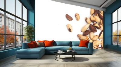 Brazilian Nuts Frame. Castanha do Para Wall mural