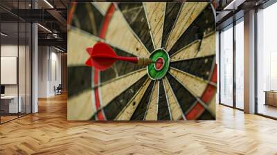 Dart hitting the bullseye on a dartboard. Business target or goal success, winner concept Wall mural