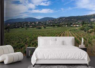 Aerial view on hills, houses and green vineyards Cotes de Provence, production of rose wine near Saint-Tropez and Pampelonne beach, Var, France in summer Wall mural