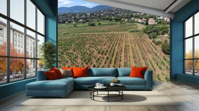 Aerial view on hills, houses and green vineyards Cotes de Provence, production of rose wine near Saint-Tropez and Pampelonne beach, Var, France in summer Wall mural