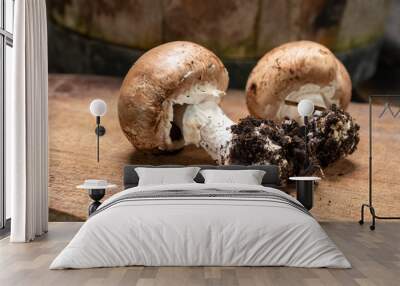 Cave brown champignon mushrooms ready to eat Wall mural