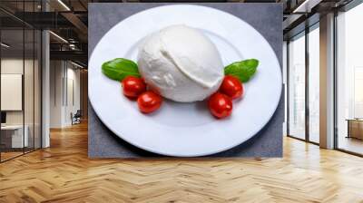 Cheese collection, soft white Italian mozzarella di bufala campana with fresh green basil leaves and red cherry tomatoes Wall mural