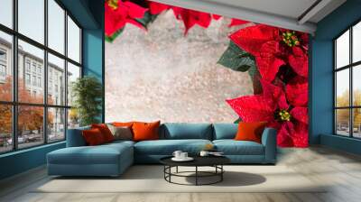 Christmas star red and white poinsettia flowers, Christmas background with copy space, free text Wall mural