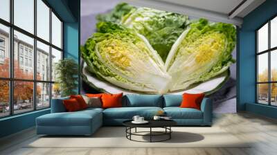 Fresh green raw Romaine or cos lettuce Wall mural